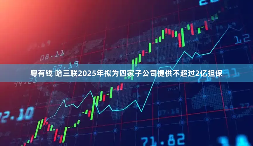 粤有钱 哈三联2025年拟为四家子公司提供不超过2亿担保
